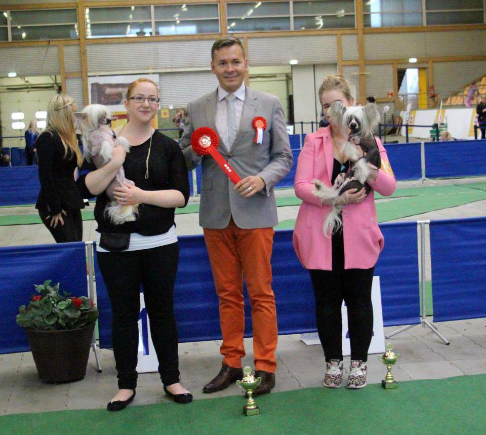 Dare to be Drunk on wednesday