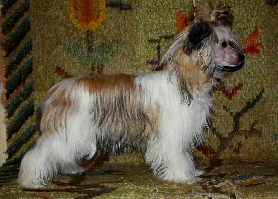 Passer-By Little Bit of Love