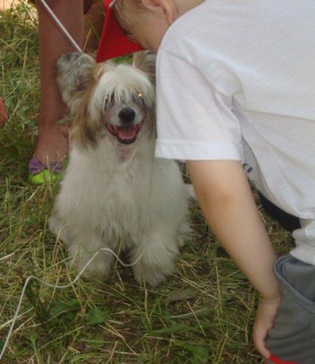 Allegro Kon Brio Adar