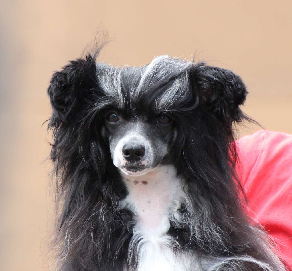 Maybell's Pose To The Paparazzi