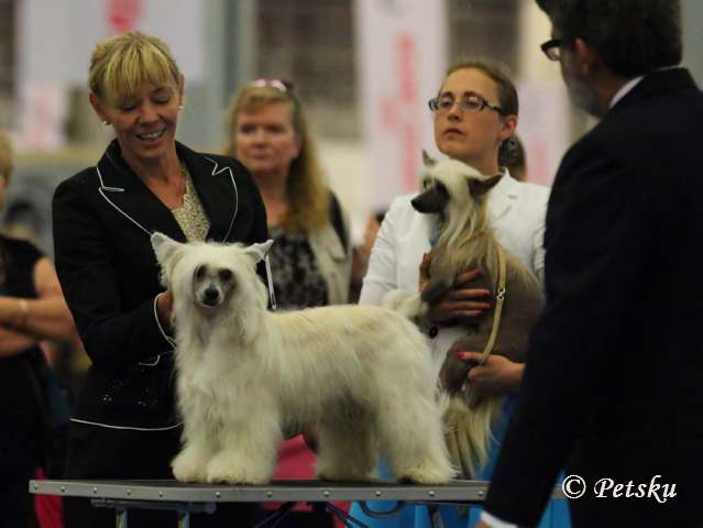 Naked Stars Chocolate Therapy