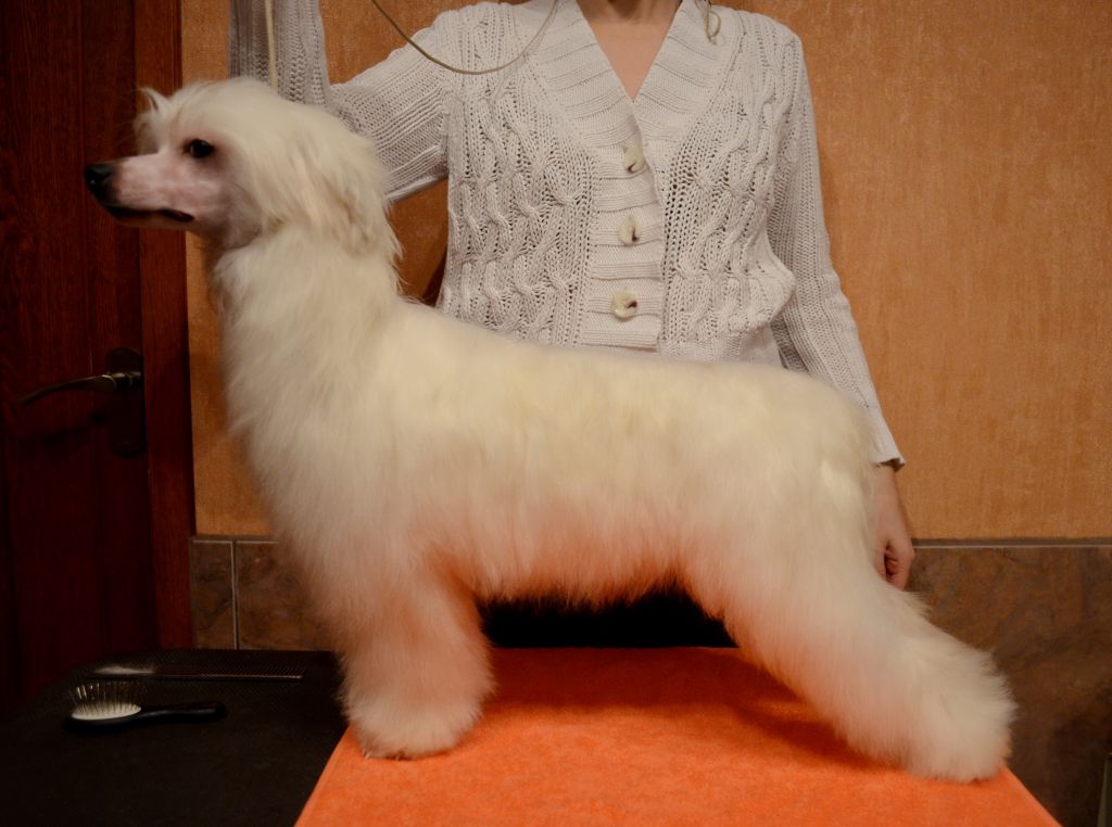 Etno Spirit  Valensia