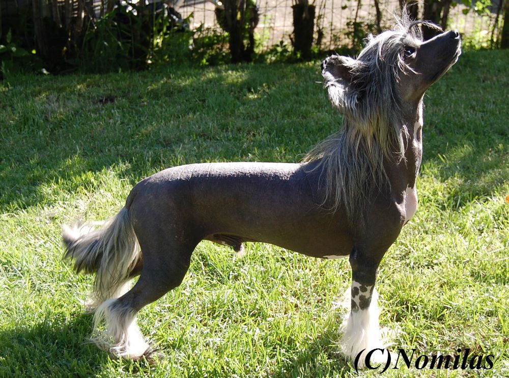 Nomilas Daddy Fix Me A Drink