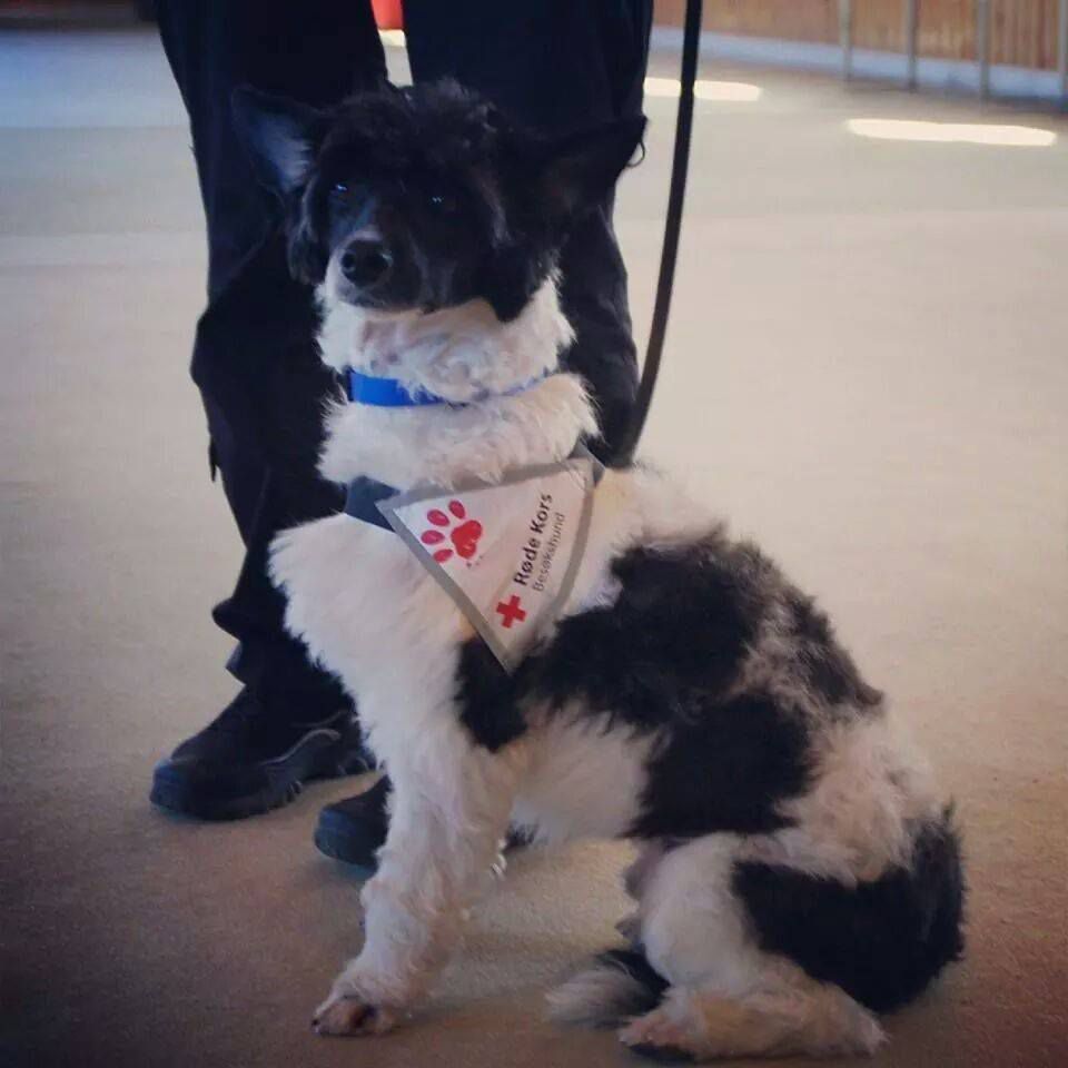 Solino's Don Ed Hardy