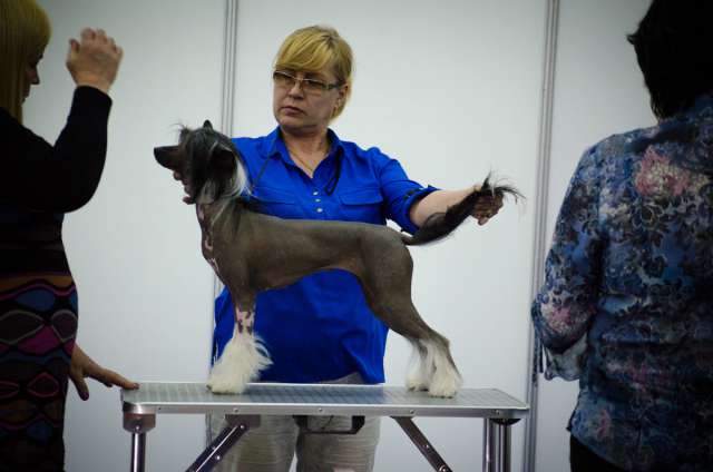 My Vanity Fair Nubia Bernice