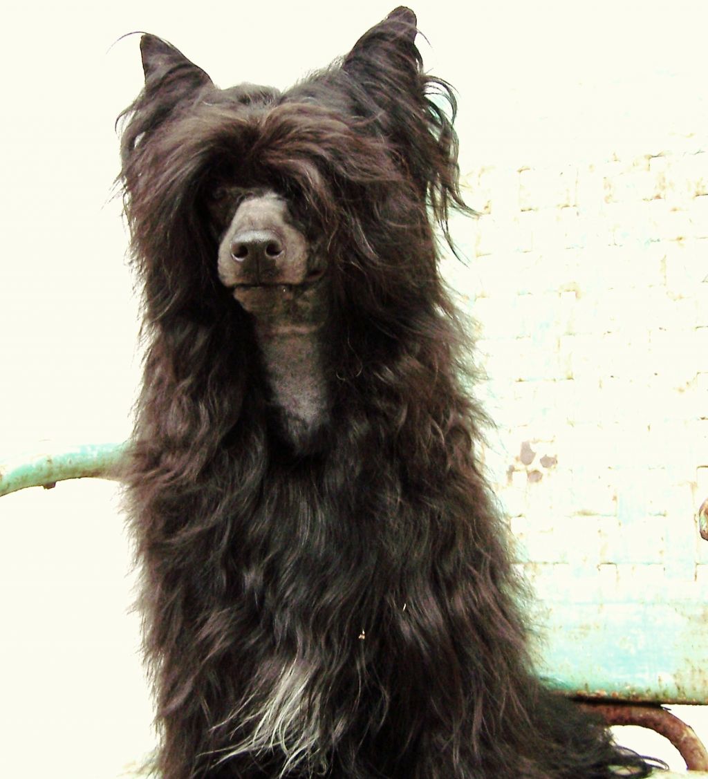 A'Eden Ashes to Ashes