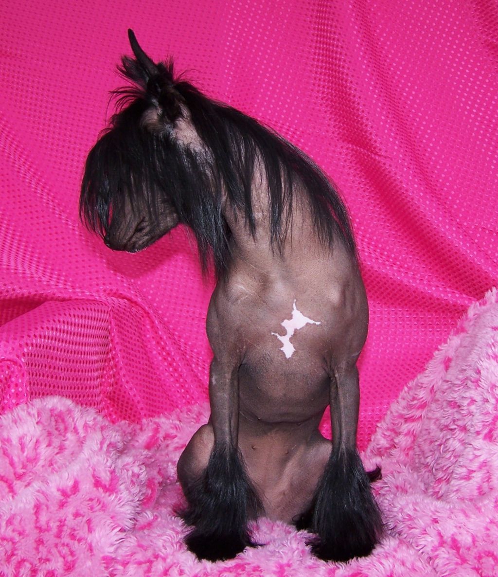 A'Eden Altar Of Heaven