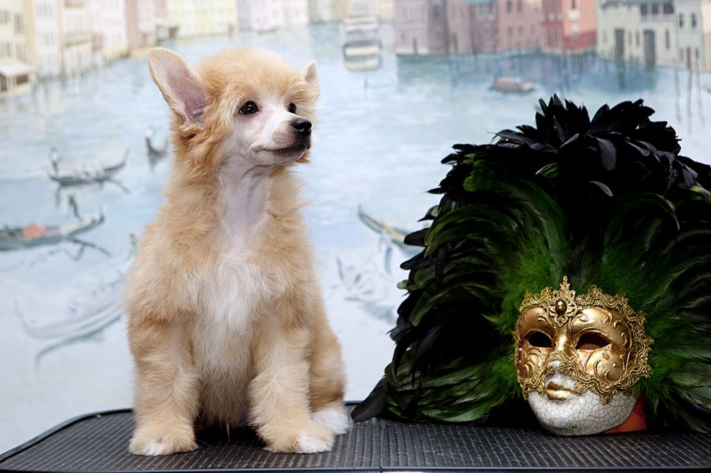 Touch Beauty Geoffrey Santlauris