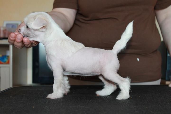 Bemu's Be My Sunshine