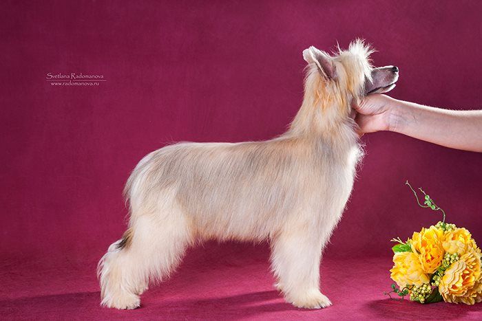 Rolana Family Trinity