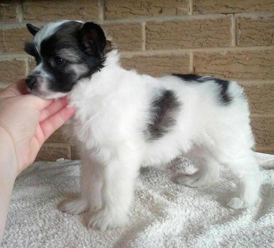 Entourage Life's a Lark