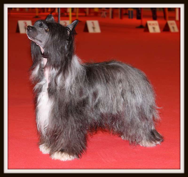 Honey Pie Of Pastime Paradise