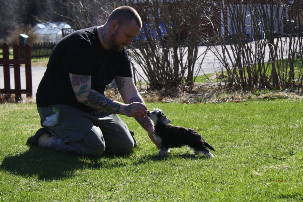 Love Bites Wild Child