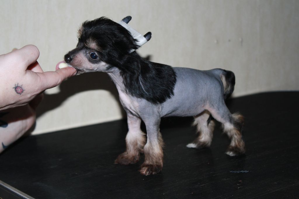 Love Bites On Your Knees