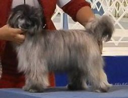 Crest-Vue One Last Time