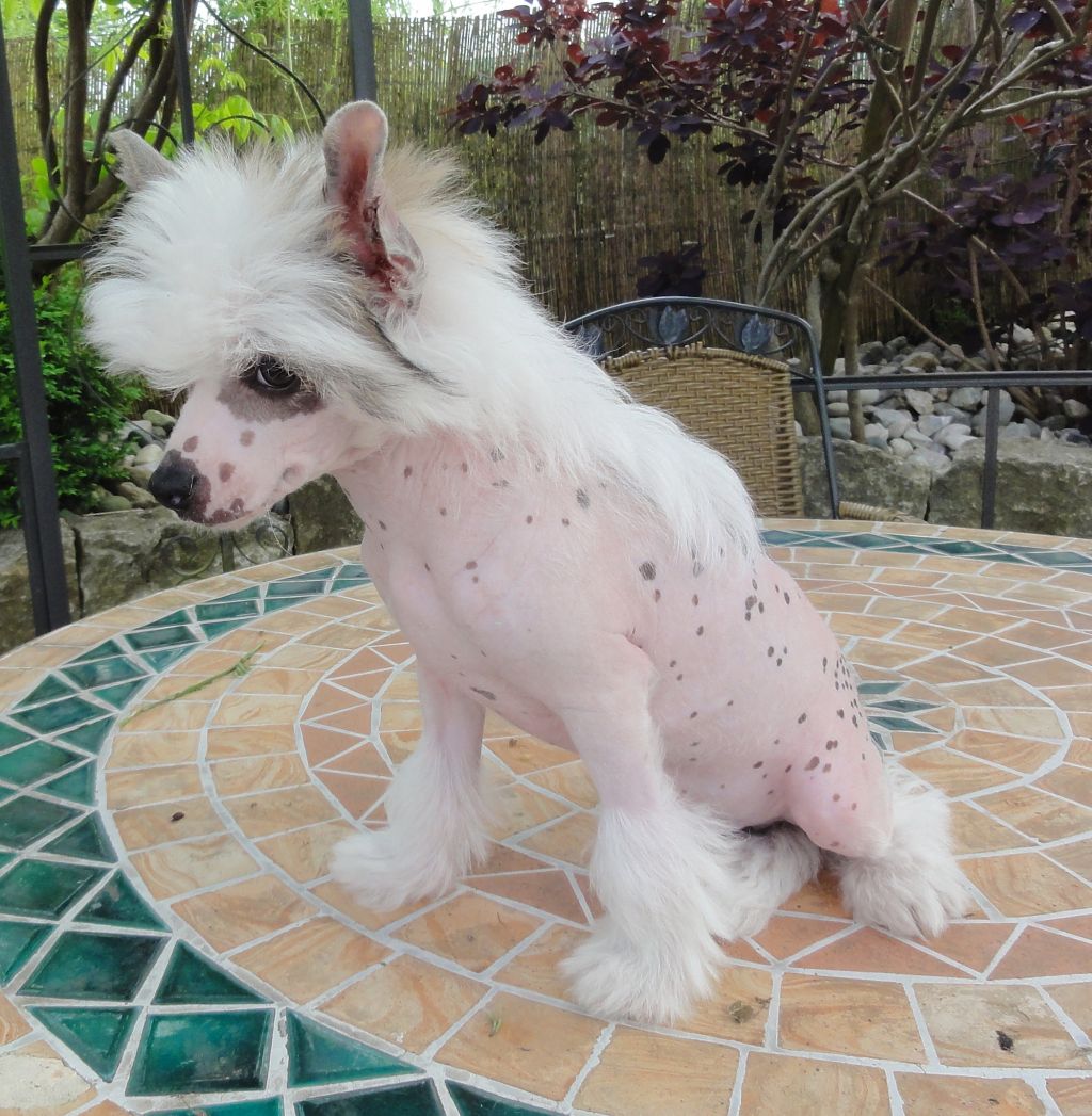 Connor Mac Leod von der Sturmhoehe