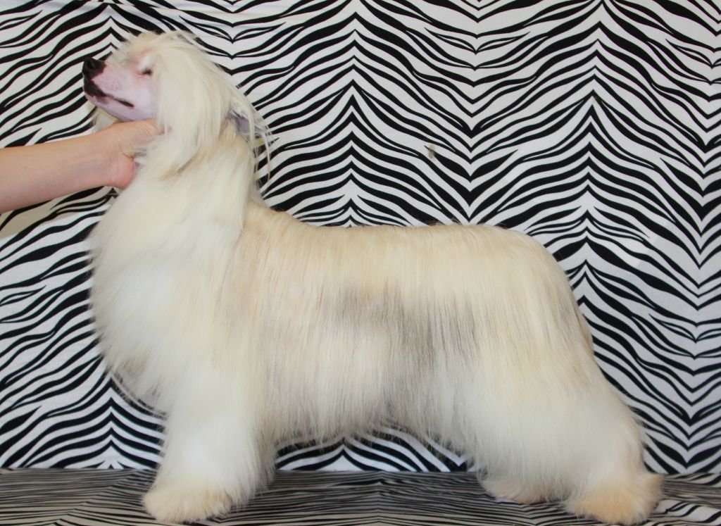 Explicits it started with a whisper