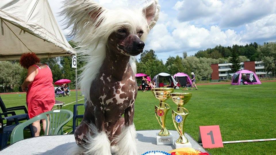 Bambina Winning Smile