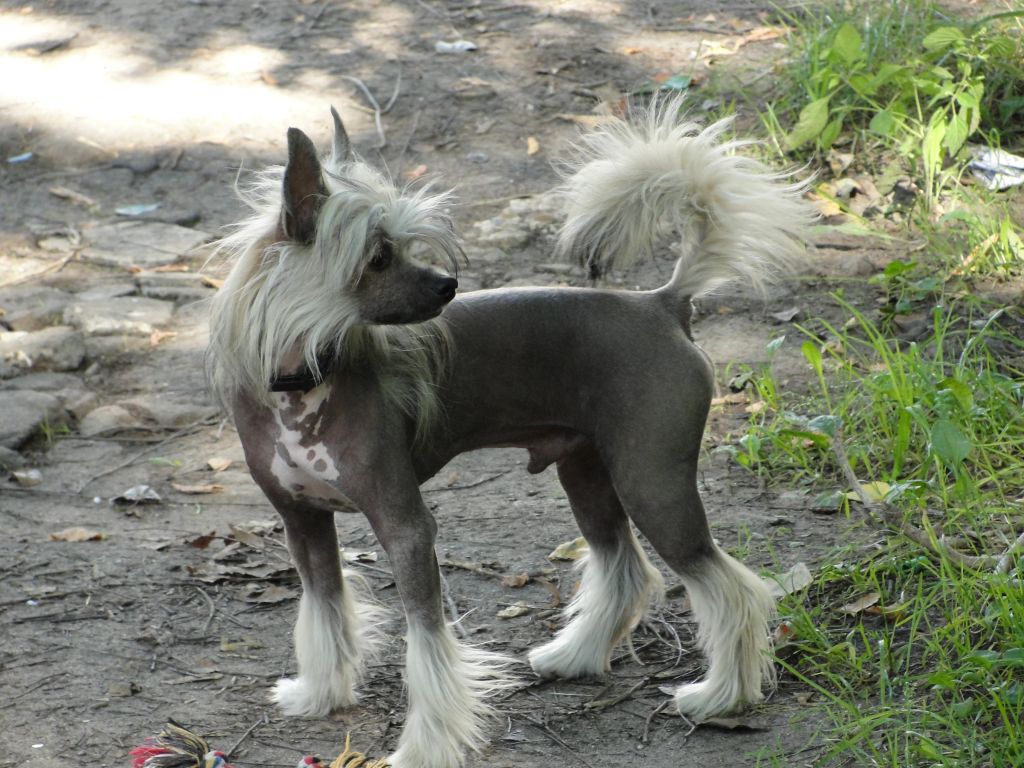 Olegro Katrin Absolutely Fabulous