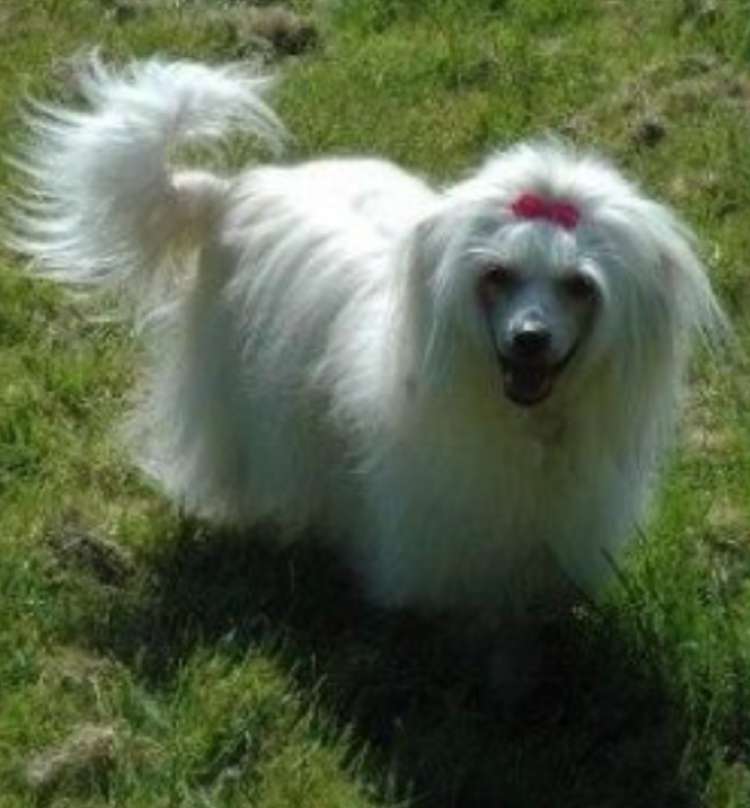 Forseti's Foreign Affair