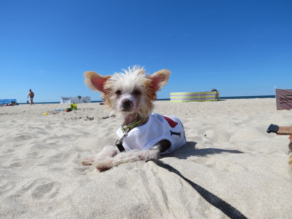 Next Stop Norway Jakard Wejherstaff