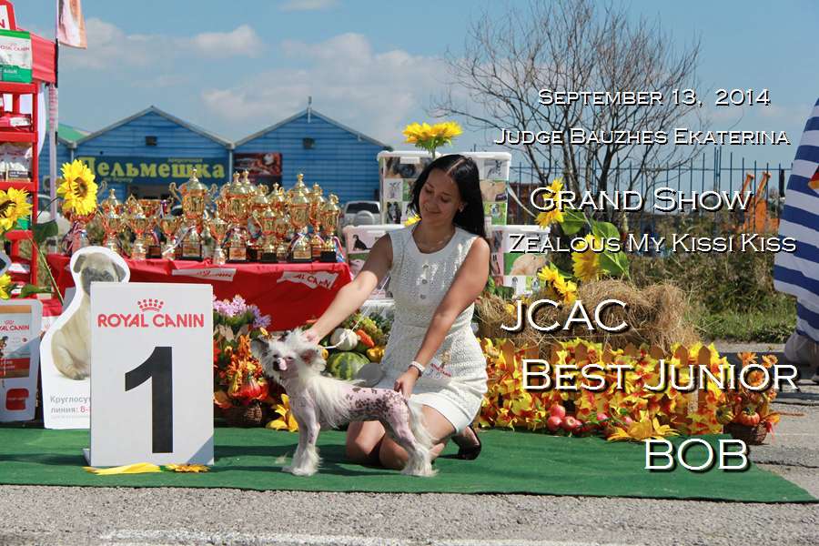 Grand Show Zealous  My Kissi Kiss