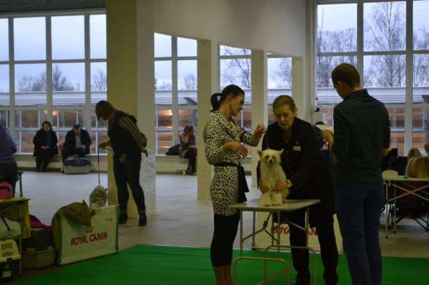 Moment of Glory Amarige Landkris