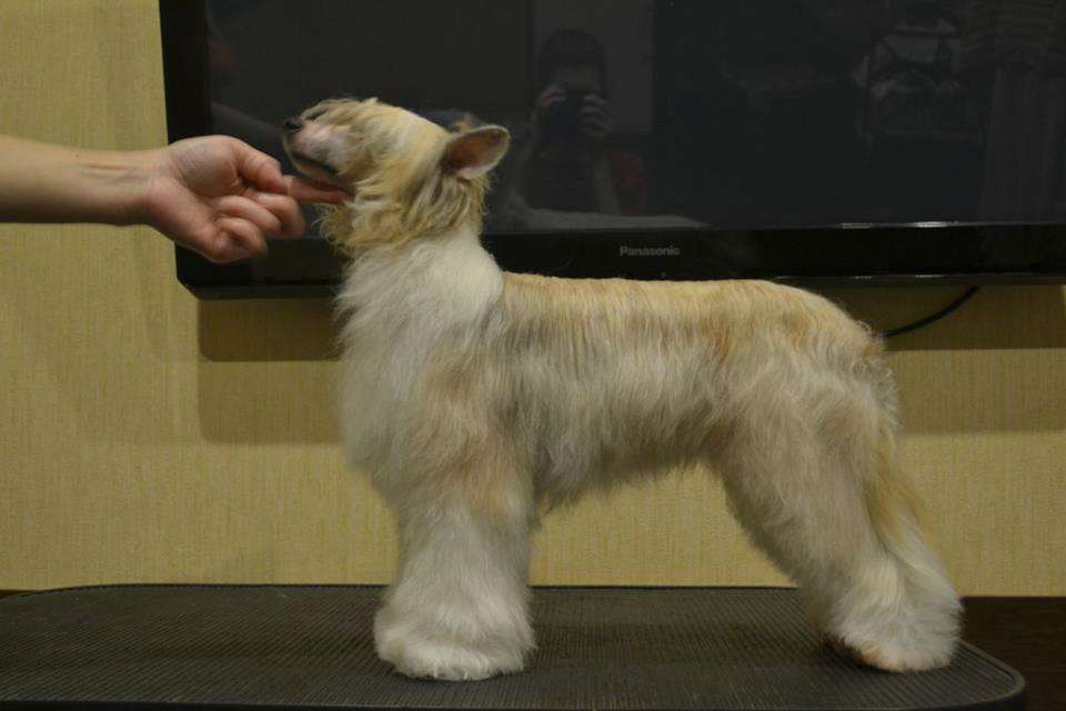 Moment of Glory Anna Livia