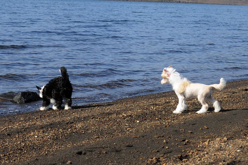 Practical Hero Kicks U Off