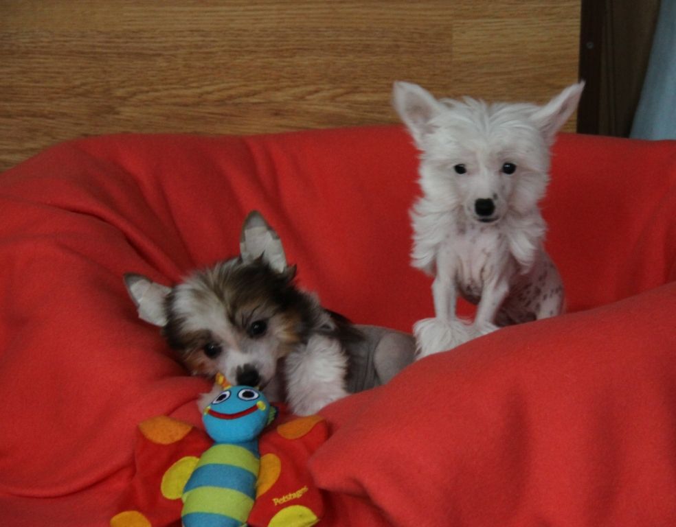 Zheneva-Debjut Oh, yzh Eta Nastia