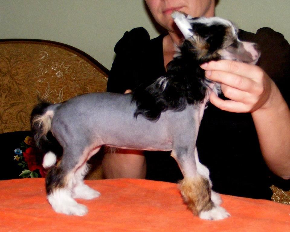 PRADA Z Lowickiego Ksiestwa