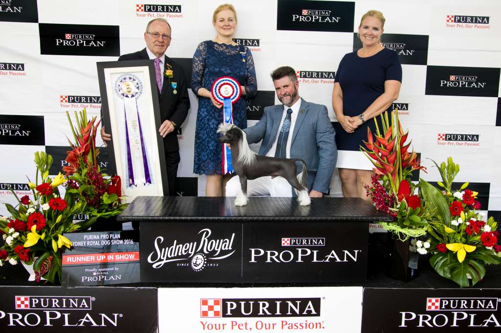 Karakush Wax On Wax Off