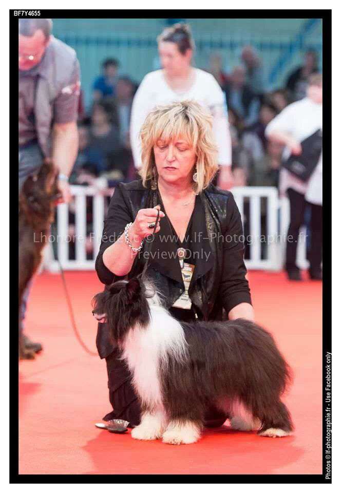 Ithaque  des Picholines