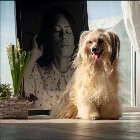 Zuri Calysta Miracolo Dell'anima