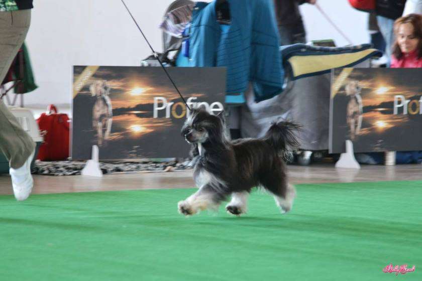 Aileen Cinske stesti