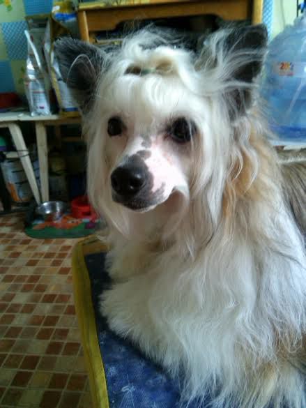 Orero Lovely Zhozhefinn