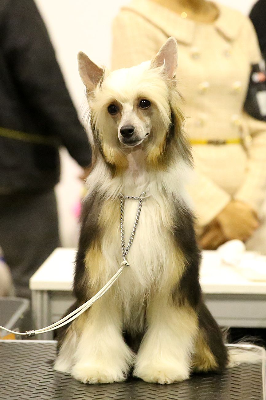 Incanto Del Mondo Eva One and Only