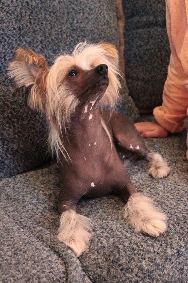 Incanto Del Mondo Eniseiy