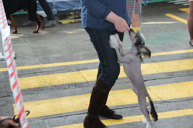 Archibalt Buddy Smith