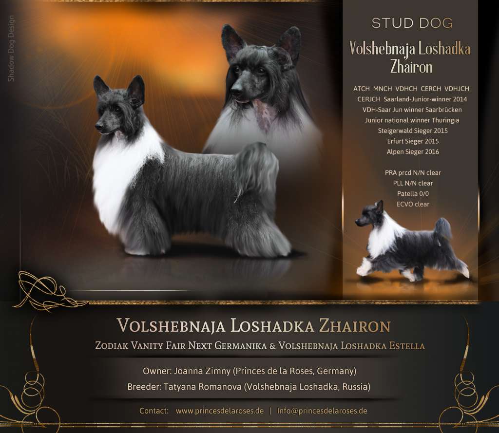 Volshebnaja Loshadka Zhairon