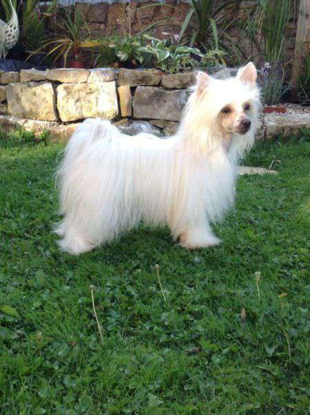 Myglees Off The Wall