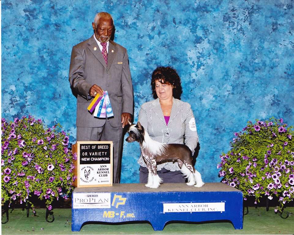 Gracieux Keto This Kats All That