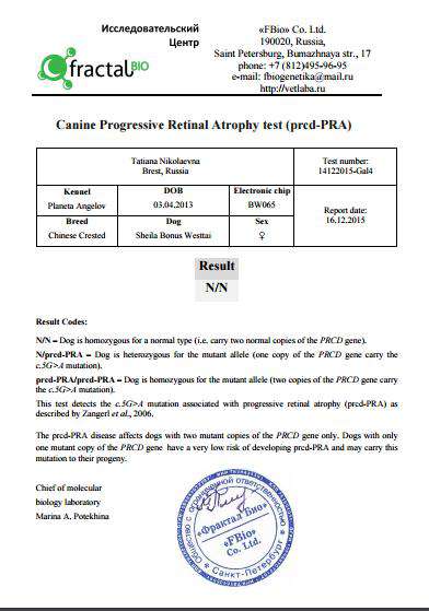 Sheila Bonus Westtai