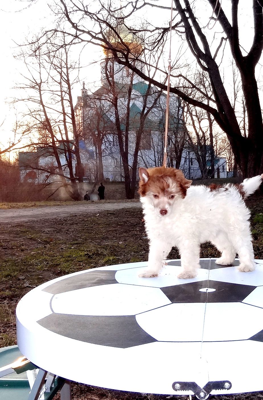 Gamlet Prince Datskiy