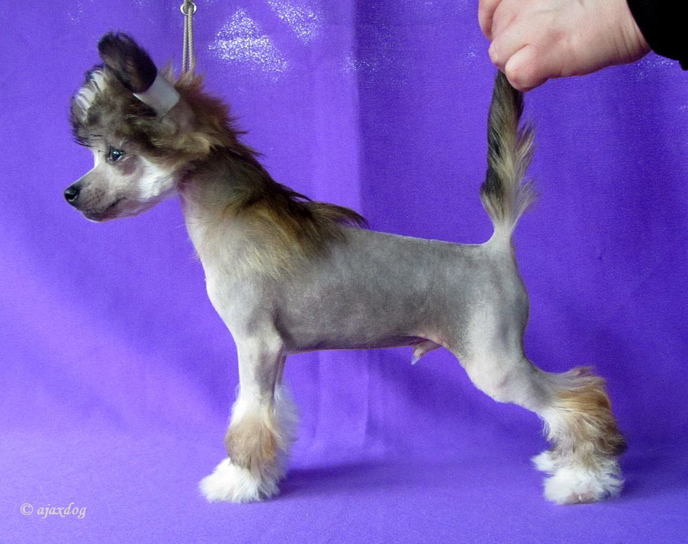 Lanart Face Kontrol' Ksolo Club