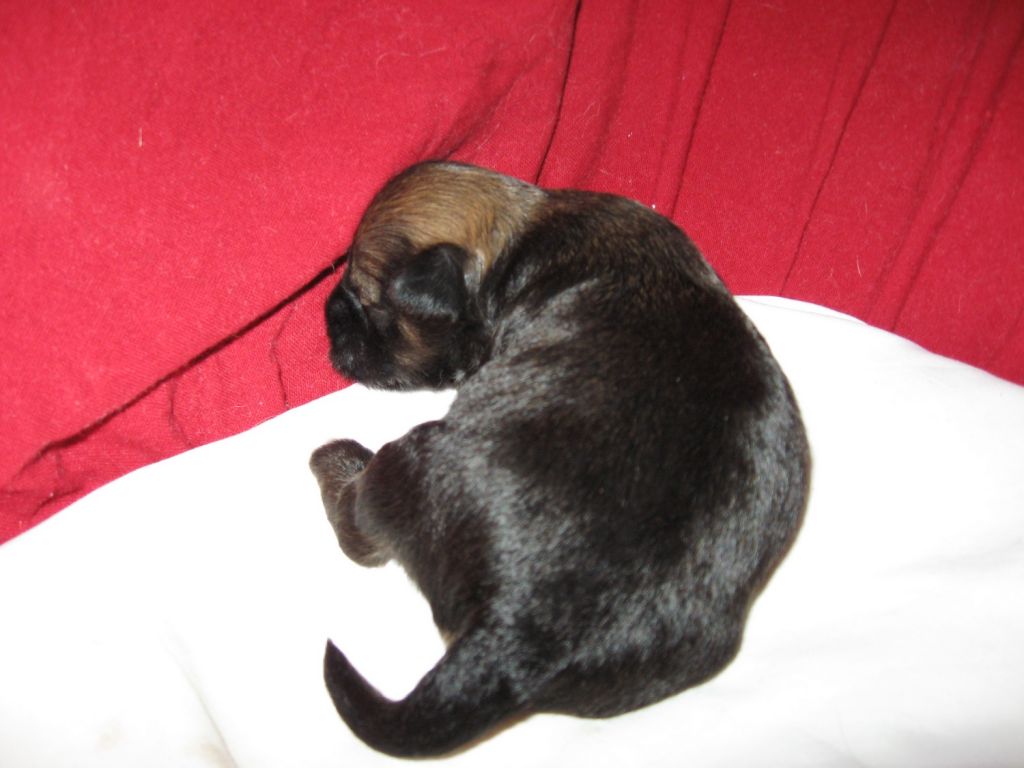 Melanies Rerity Tekilla