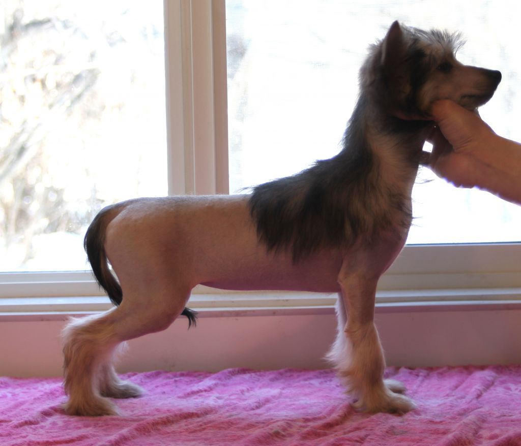 Yorkhouse n Taja Ricashade