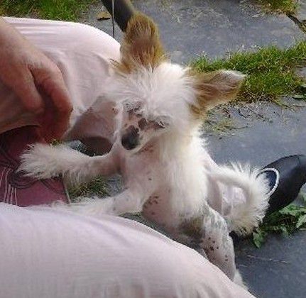 Annabell Modrá Laguna Moravia