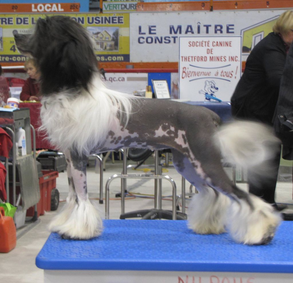 Nu Poil's Nfld Reef Oceann Mist