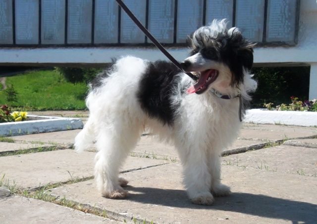 Solveig Goro Grumant